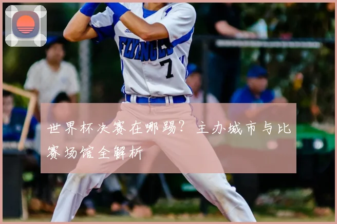 世界杯决赛在哪踢？主办城市与比赛场馆全解析